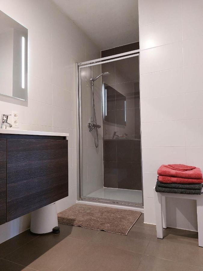 Duplex Villa Capricia Appartement Met Zwembad Nieuwpoort Jachthaven Екстериор снимка