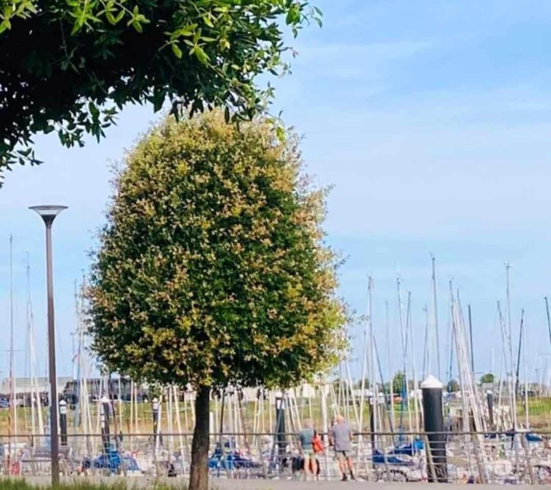 Duplex Villa Capricia Appartement Met Zwembad Nieuwpoort Jachthaven Екстериор снимка