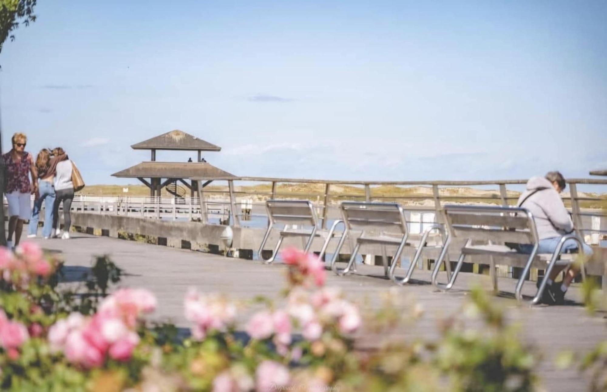 Duplex Villa Capricia Appartement Met Zwembad Nieuwpoort Jachthaven Екстериор снимка